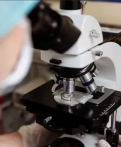 Médico analisando material genético via microscópio na Clínica Fertilis especializada em Reprodução humana assistida SP