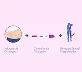Coito Programado (CP) / Indução da Ovulação - Indução da Ovulação com Coito programado é uma alternativa simples e de baixo custo, indicada principalmente quando há irregularidades no ciclo menstrual e falhas de ovulação, no entanto a análise seminal do homem deve ser normal e não pode haver problemas tubários na mulher